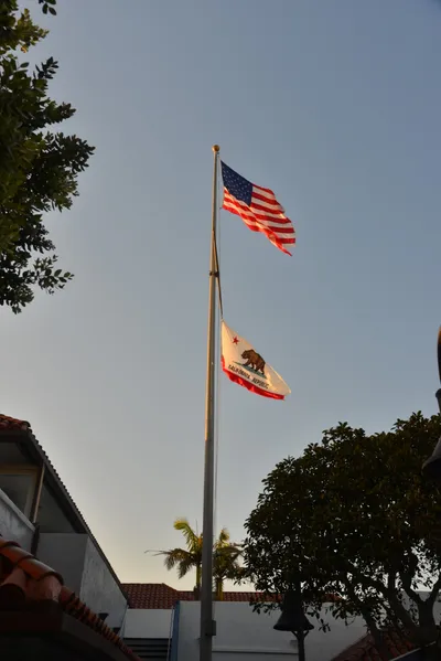 DSC_7297 (Large).JPG